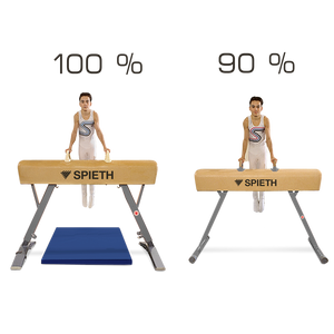 Junior pommel horse
