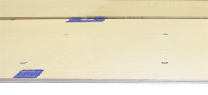 Cheer deck(sprung) 42X54