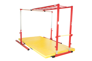 SHINOBI TRAINING SALMON LADDER