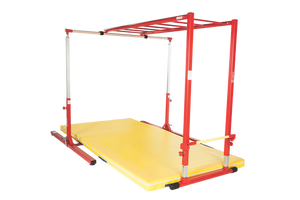 SHINOBI TRAINING SALMON LADDER