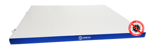ANTI-VIRAL TRAINING MAT