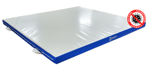 ANTI-VIRAL TRAINING MAT