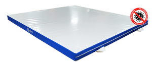 ANTI-VIRAL TRAINING MAT