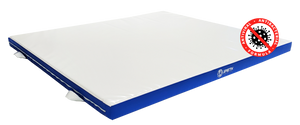 ANTI-VIRAL TRAINING MAT